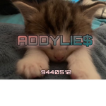 ADDYLIE$