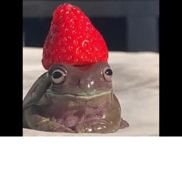 obby