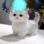 ryans bank