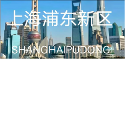 SHANGHAI PUDONG NEW AREA RP