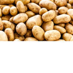 Potato Clan ok?