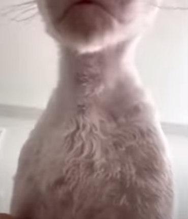 Thumbnail removed
