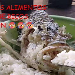 LOS ALIMENTOS QUE RICOS SON (NO TERMINADO) icon