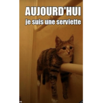 M et L
