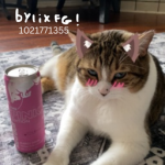 bylix fg !