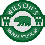 Wilson's Wildlife Solutions