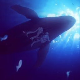 🐬˚ 🐋✧˚.🐟⋆