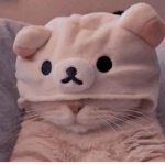 N1k aesthetic