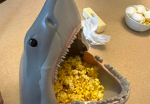 The shark group…..