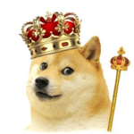Doge basement