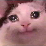 hola en este grupo dono robux Me gustan los gatos