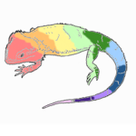 Bearded Dragon Society