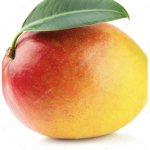 Mango Fam :3