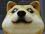 the doge chill group