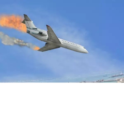 plane survival