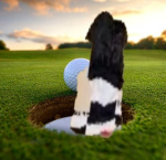 Bray's Golf Club
