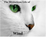 The Mysterious Life of Wind