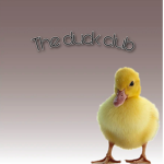 The duck friend group