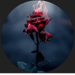 Ray and Xin YT Group