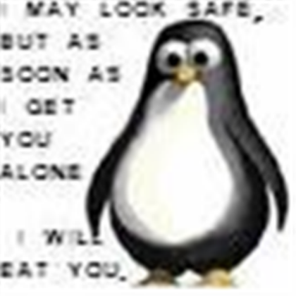 penguin funny Roblox decal
