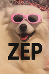 Zlee studios