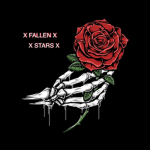 ~Fallen Stars~