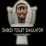 Sim skib
