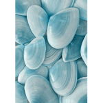 Blue shell group