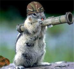 Funneh Squrrel