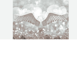 •Angle wings•