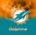 Miami Dolphins fan / supporter group