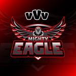 vVv eagle group