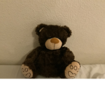 Bear man group!