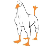 Duck__1