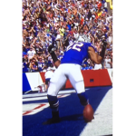 LETS GO BUFFALO BILLS