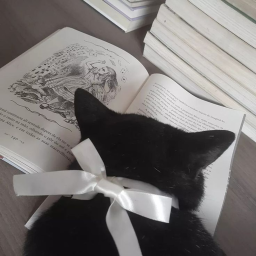 ˚˖ • . ˚ ★ ˖ ۫