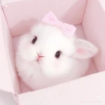 ‶property Group Thumbnail