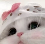 lostarchive Group Thumbnail