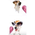 Beans and potatoes1