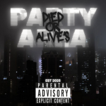 Party Area Studio