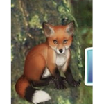 The secretive Foxes