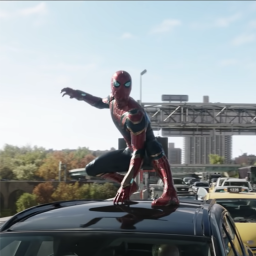 🕷