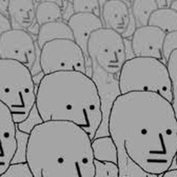 Survive the NPC's
