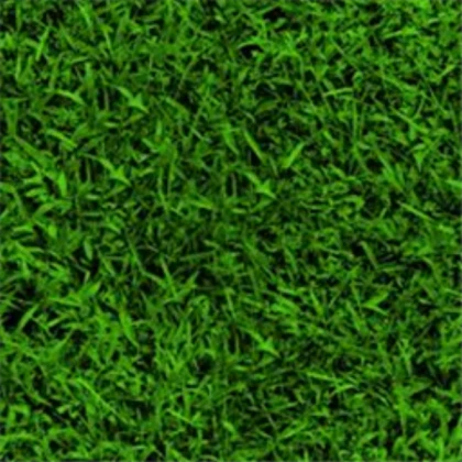 [Zen] - [Fresh Grass Texture]