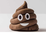 POOPMANGER
