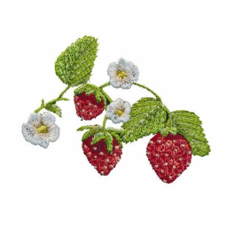 ⋆ ˚｡⋆୨🍓୧⋆ ˚｡⋆