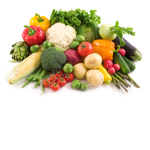 VEGETABLE STUDIO