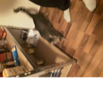 Hier