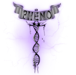 Phenotype