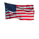 Pure Blooded Americans